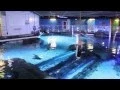 Behind the Scenes at the Newport Aquarium