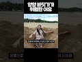 Download Lagu 양양에 괴물 출현 (2마리;;)