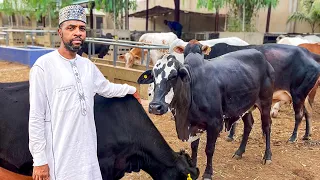 inside nigerias most profitable integrated farm cattle fish u0026 exotic birds