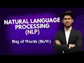 Bag of Words BoW Natural Language Processing NLP Knowledge Engineering KE