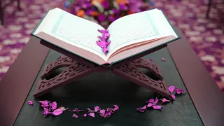 031 سورة لقمان سعد الغامدي بدون إعلانات 