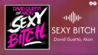 David Guetta Feat Akon - Sexy B tch