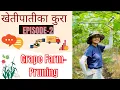 Download Lagu Grape Farm in Korea||Pruning Grapes