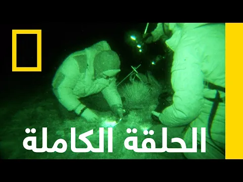 فيديو هبوط الصحون الطائرة | مطاردة الصحون الطائرة | ناشونال جيوغرافيك أبوظبي