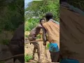 Look at this Hadzabe guy, awesome 🫣#hadzabetribe #hunting #foryou