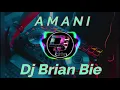 Lagu A M A N I Remix By Dj Brian Bie