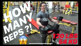 Men s Physique VS 120 LBS 54 KG Dumbbells