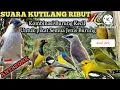 Download Lagu SUARA PIKAT SEMUA BURUNG KECIL #pikatampuh #suaraburung #ampuh #kutilang #kemade #