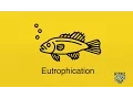 Eutrophication SUPER SIMPLE