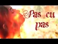 Pas cu pas -cover Andra(Audio )