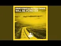 Will Be Forever (Original Mix)