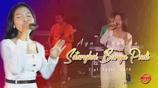 Download DA MUSIC OFFICIAL - GD AUDIO-  SETANGKAI BUNGA PADI - AYU CANTIKA ( Live Session ). MP3