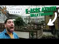 Exploring a MASSIVE 5-Acre Atrium INDOOR Riverwalk Gaylord Texan Resort Walkthrough Tour