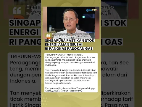Singapura Tenangkan Warga soal Pengurangan Pasokan Gas RI, Tarif Listrik Diklaim Tak Terdampak Besar