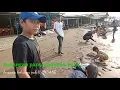 Download Lagu tarling pantura isep-isep tebu VOC. ELLA NURHAYATI ...