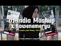 Lagu DJ INDIA MASHUP X KAWENEMERYU SOUND CARO VIRAL TIKTOK 🎶 • DJ NABIL SERGIO