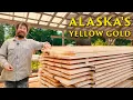 Finding Work In the Forest while Living Aboard in Alaska