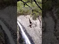 Download Lagu GRACEFUL DUB GAINER 14 M IN THE JUNGLE IG @nathanael.rousset #cliffdiving #beautiful #dare #jungle