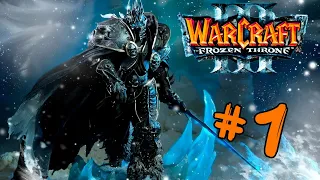 Warcraft 3 STREAM 1 