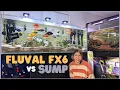 FX6 Canister Filter versus Sump Filtration - Which is Better