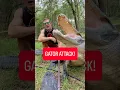 GATOR ATTACK