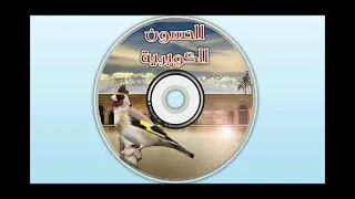 عشاق التغريد الخلوي المغربي مناطق في قنيطرة الرباط سلا 