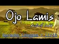 Karaoke + Lirik Langgam Ojo Lamis Ki.Narto Sabdo