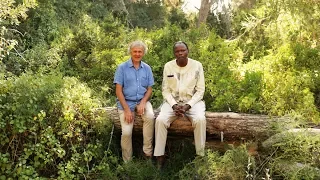 peace a way of life from letlapa mphahlele interviewed by jean luc penet