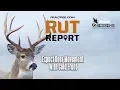 Expect Major Deer Movement with Latest Cold Front Rut Report 2019 Presented by Thiessens