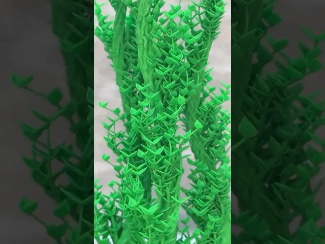 Beanstalks video thumbnail