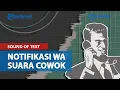 Cara Buat Sound of Text Pakai Suara Google Cowok untuk Notifikasi WhatsApp