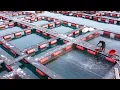 Download Lagu 이제 양식도 인공지능이 한다? 통영 스마트 양식 ! 신선한 참돔, 우럭 | Artificial Intelligence Fish Farm | Korean food