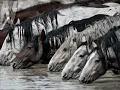 All the Wild Horses...... Ray Lamontagne
