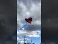Great day to fly a kite
