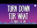 Download Lagu DJ Snake \u0026 Lil Jon - Turn Down for What (Lyrics)