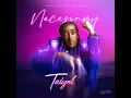 Necessary - Taiyel