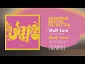 Unknown Mortal Orchestra - Multi-Love (Official Audio)