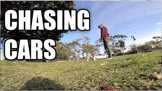 How I address herding and chasing cars