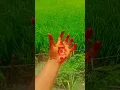 Download Lagu Dame un grr ok,🥰🔥#viralvideo #love #song