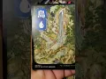 KAMIGAWA NEON DYNASTY Set Opening 65 NEO