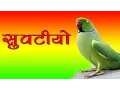 Download Lagu Latest Rajasthani Dj Mix Song | सुवटीयो - Suvatiyo | Yuvraj Mewadi | New Superhit Marwadi Dj Song