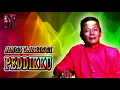 Download Lagu Lagu Bugis Peddikku - Anci Laricci