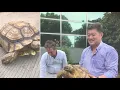 iCollege China - the first foray 2018
