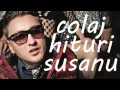 Download Lagu SUSANU - CELE MAI TARI HITURI (COLAJ 2015)