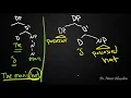 SYNTAX-21 The DP-Hypothesis