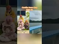 Download Lagu Cantika Sama Cery Kutu An
