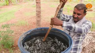 Krishi Darshana | ಸಮಗ್ರ ಕೃಷಿ - ಪ್ರಗತಿಪರ ಕೃಷಿಕರೊಡನೆ ಸಂದರ್ಶನ | 08-09-2026 | 6pm | DD Chandana