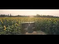 Andrew Allen - Loving You Tonight - Wedding Version (OFFICIAL MUSIC VIDEO)