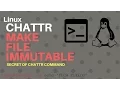 Avoid accidental deletion of file Make a file immutable Chattr command