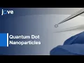 Correlative Light - Electron Microscopy Using Quantum Dot Nanoparticles l Protocol